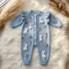 Powder Blue Bunny Baby Romper Free Crochet Pattern